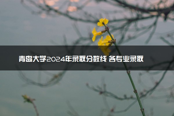 青岛大学2024年录取分数线 各专业录取最低分及位次