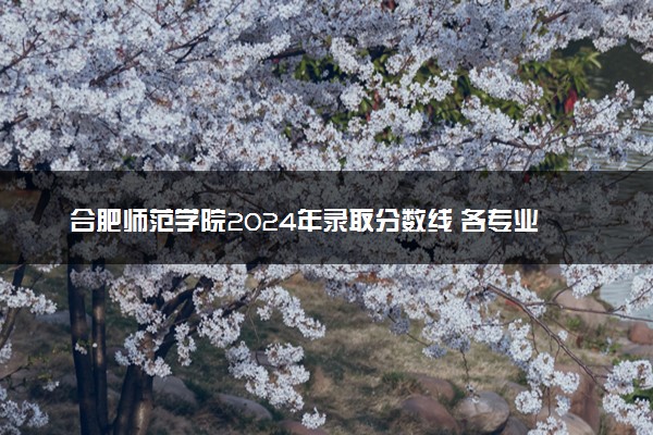 合肥师范学院2024年录取分数线 各专业录取最低分及位次