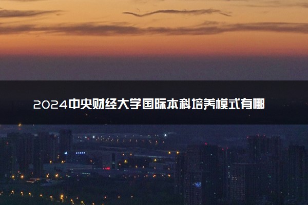 2024中央财经大学国际本科培养模式有哪些