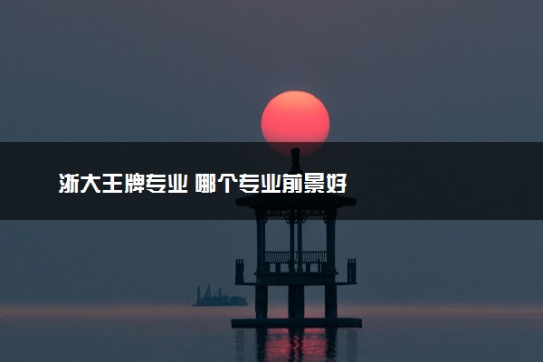 浙大王牌专业 哪个专业前景好