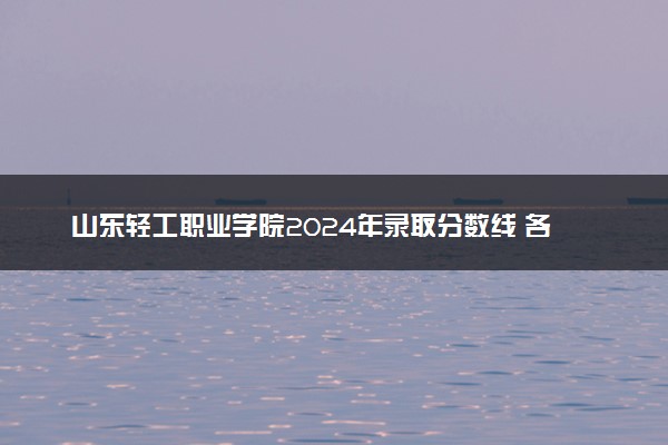 山东轻工职业学院2024年录取分数线 各专业录取最低分及位次