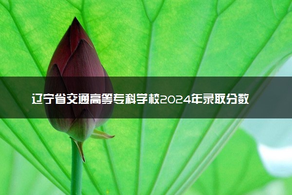 辽宁省交通高等专科学校2024年录取分数线 各专业录取最低分及位次