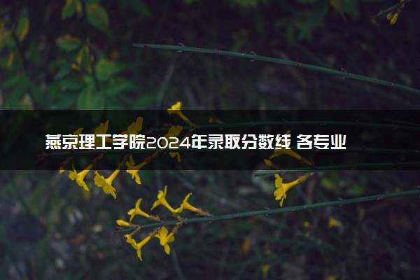 燕京理工学院2024年录取分数线 各专业录取最低分及位次