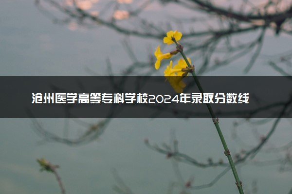 沧州医学高等专科学校2024年录取分数线 各专业录取最低分及位次