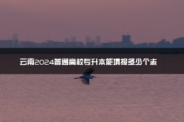 云南2024普通高校专升本能填报多少个志愿 最新志愿设置