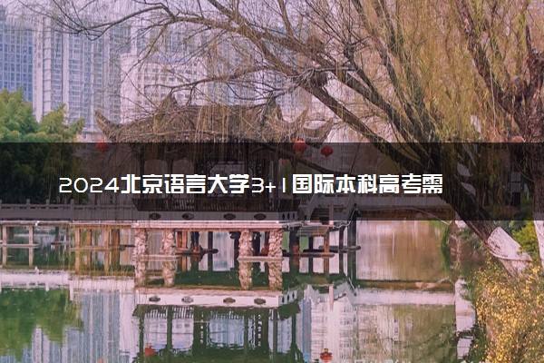2024北京语言大学3+1国际本科高考需要多少分