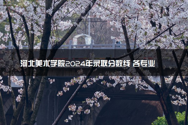 河北美术学院2024年录取分数线 各专业录取最低分及位次