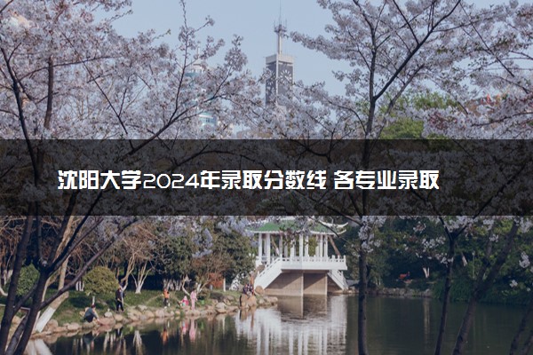 沈阳大学2024年录取分数线 各专业录取最低分及位次