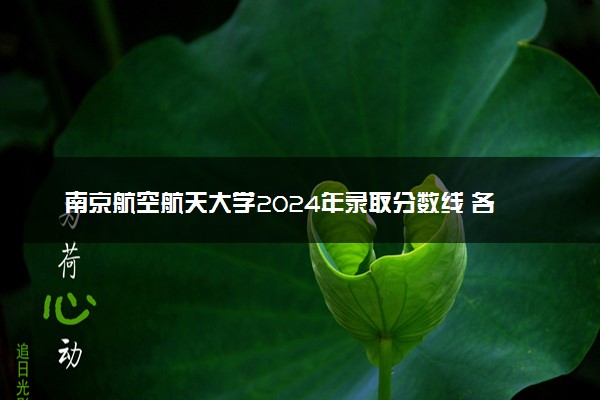 南京航空航天大学2024年录取分数线 各专业录取最低分及位次