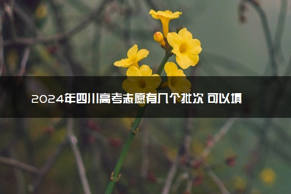 2024年四川高考志愿有几个批次 可以填多少个专业和学校