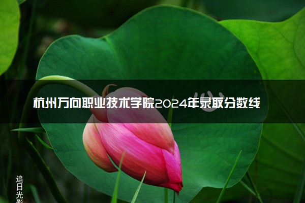 杭州万向职业技术学院2024年录取分数线 各专业录取最低分及位次