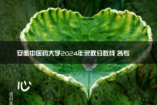 安徽中医药大学2024年录取分数线 各专业录取最低分及位次