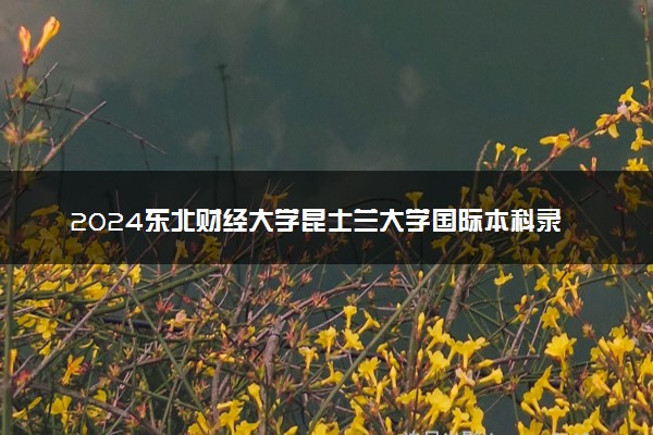 2024东北财经大学昆士兰大学国际本科录取通过率高吗