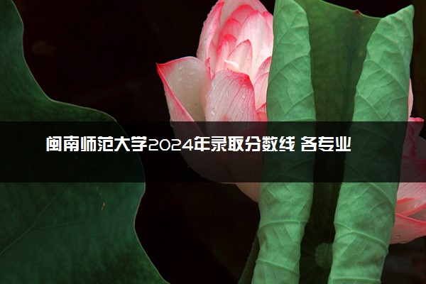 闽南师范大学2024年录取分数线 各专业录取最低分及位次