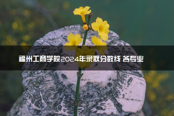 福州工商学院2024年录取分数线 各专业录取最低分及位次