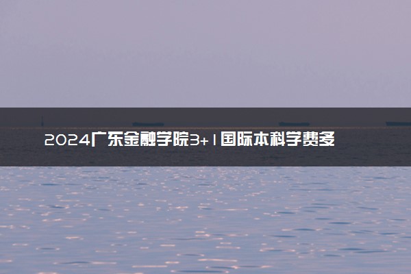 2024广东金融学院3+1国际本科学费多少钱 入学条件是什么