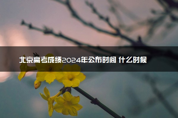 北京高考成绩2024年公布时间 什么时候查分