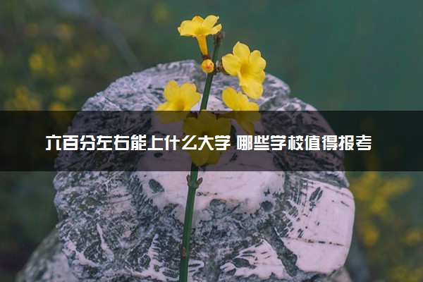 六百分左右能上什么大学 哪些学校值得报考