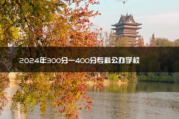 2024年300分一400分专科公办学校 能报的院校推荐