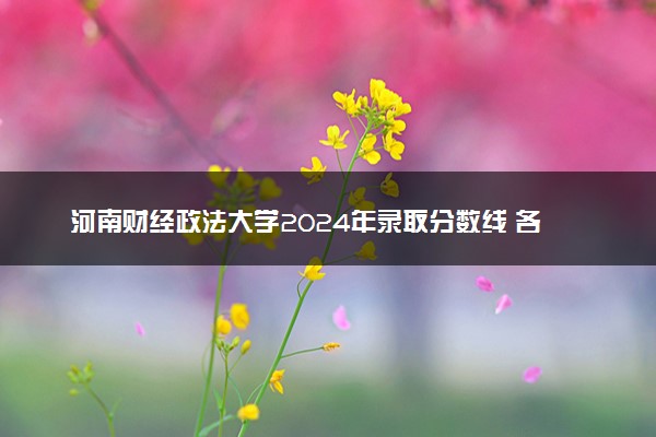 河南财经政法大学2024年录取分数线 各专业录取最低分及位次