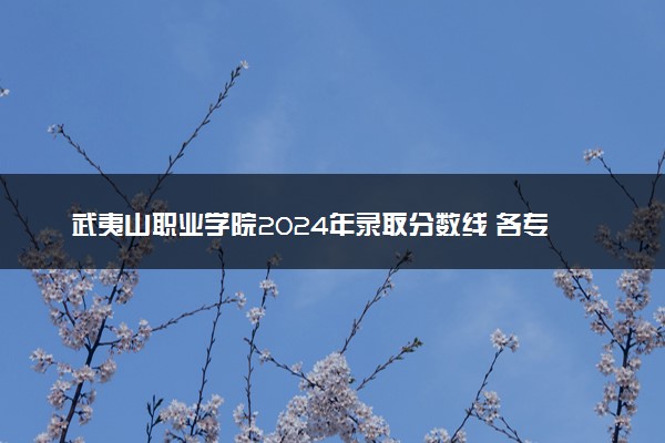 武夷山职业学院2024年录取分数线 各专业录取最低分及位次