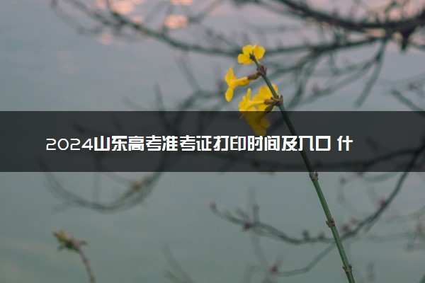 2024山东高考准考证打印时间及入口 什么时候打印
