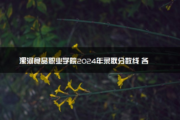 漯河食品职业学院2024年录取分数线 各专业录取最低分及位次