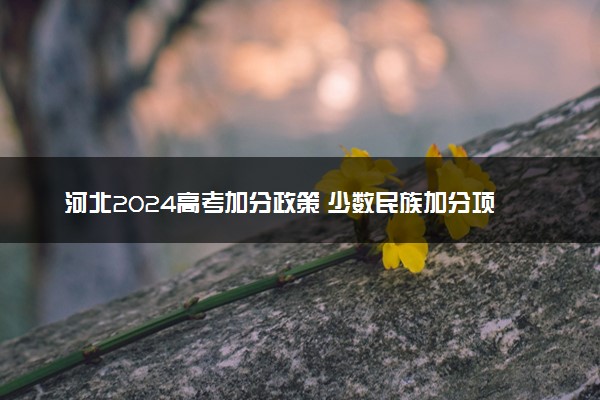 河北2024高考加分政策 少数民族加分项目有哪些