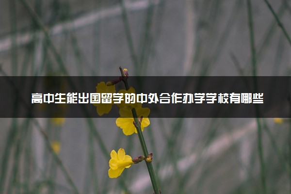 高中生能出国留学的中外合作办学学校有哪些 大概要花多少钱