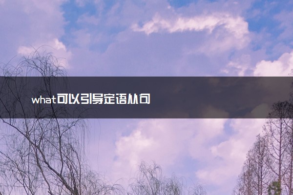 what可以引导定语从句