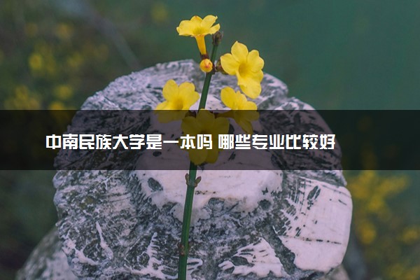 中南民族大学是一本吗 哪些专业比较好