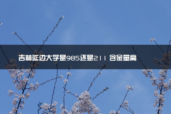 吉林延边大学是985还是211 含金量高吗