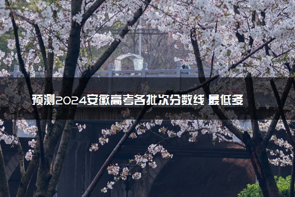 预测2024安徽高考各批次分数线 最低多少分可以上大学