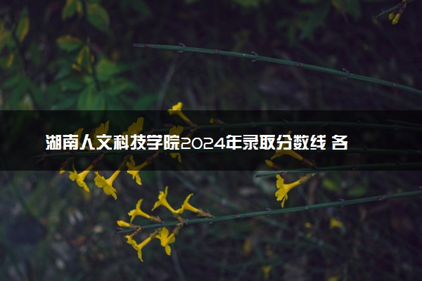湖南人文科技学院2024年录取分数线 各专业录取最低分及位次