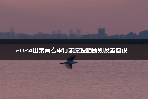 2024山东高考平行志愿投档原则及志愿设置