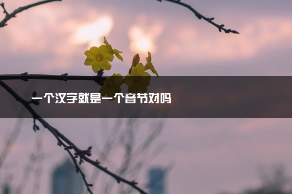 一个汉字就是一个音节对吗