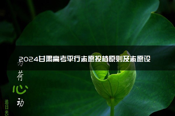2024甘肃高考平行志愿投档原则及志愿设置