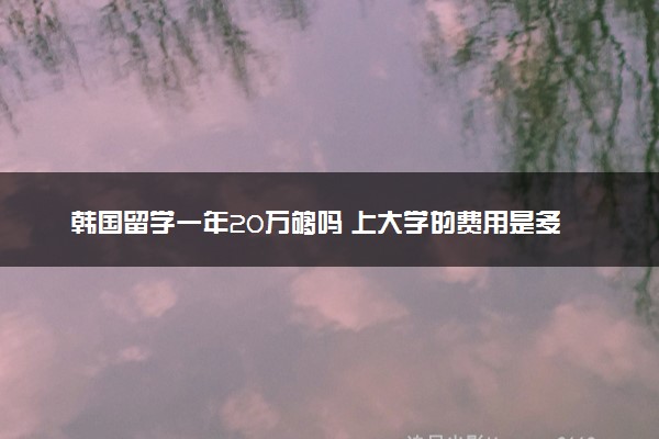 韩国留学一年20万够吗 上大学的费用是多少