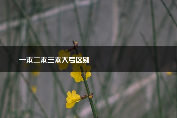 一本二本三本大专区别