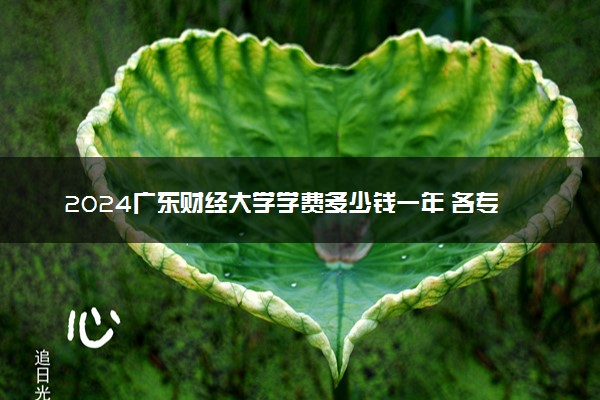 2024广东财经大学学费多少钱一年 各专业收费标准