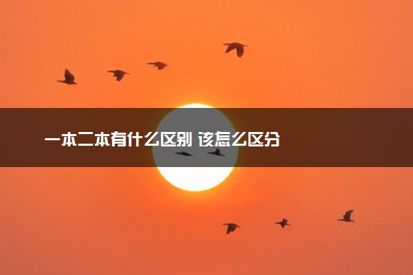 一本二本有什么区别 该怎么区分
