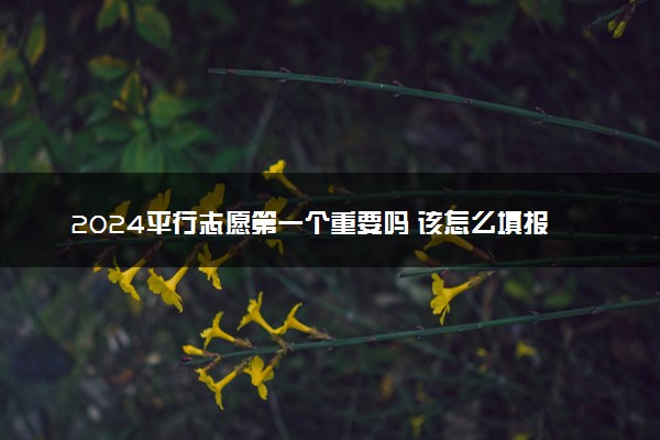 2024平行志愿第一个重要吗 该怎么填报