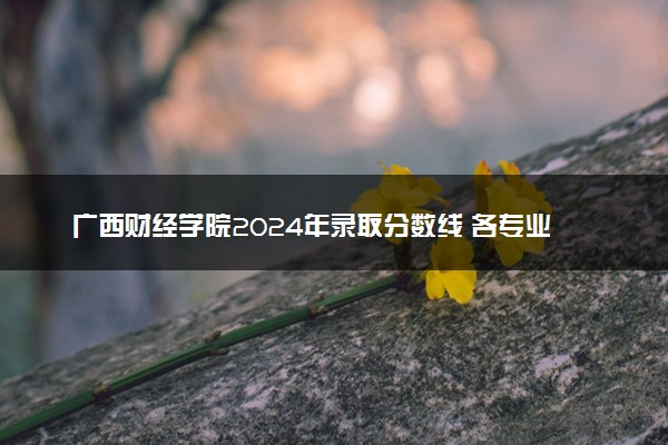 广西财经学院2024年录取分数线 各专业录取最低分及位次