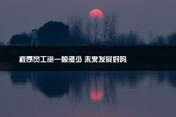 程序员工资一般多少 未来发展好吗