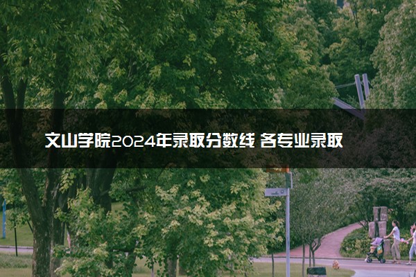 文山学院2024年录取分数线 各专业录取最低分及位次