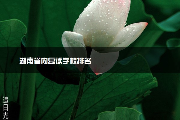 湖南省内复读学校排名