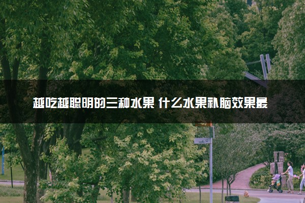 越吃越聪明的三种水果 什么水果补脑效果最好