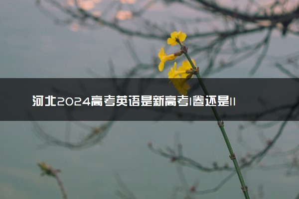 河北2024高考英语是新高考I卷还是II卷 用什么试卷
