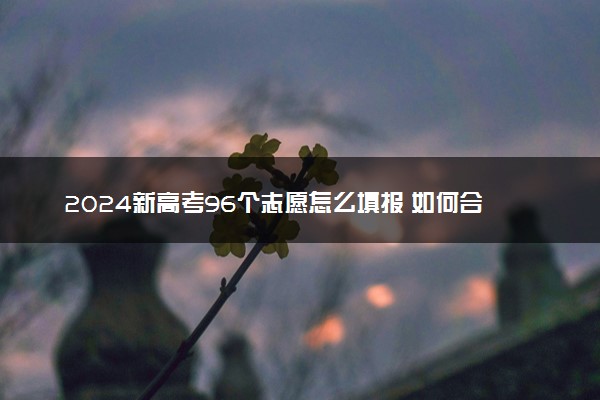 2024新高考96个志愿怎么填报 如何合理分配
