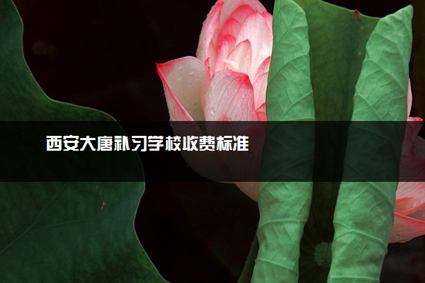 西安大唐补习学校收费标准